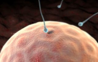semen-boosters-spermatozoon-fertilising-ovum