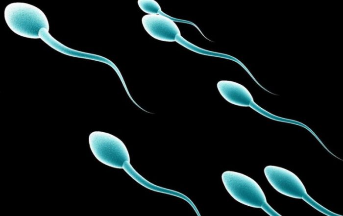 sperm-quantity-quality-myths-evaluation